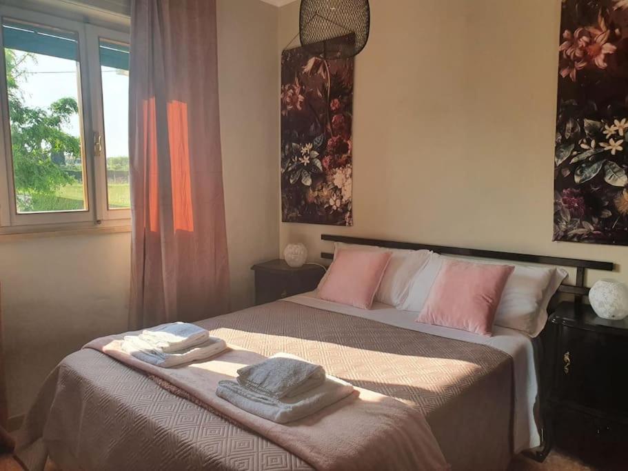 Molo - Residenza Con Accesso Diretto Al Lago Lazise Luaran gambar
