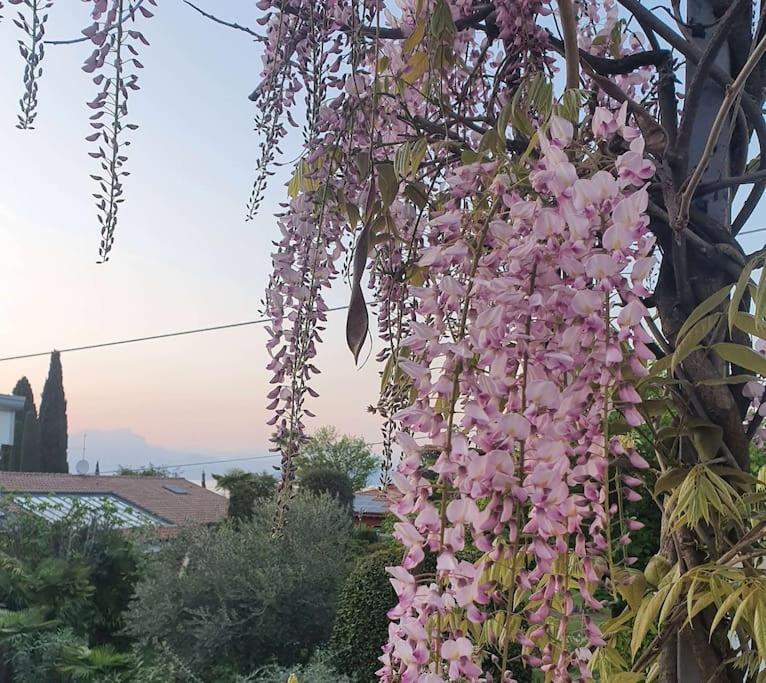 Molo - Residenza Con Accesso Diretto Al Lago Lazise Luaran gambar